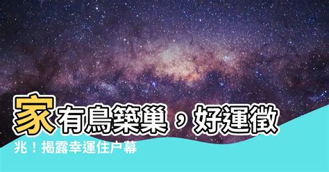 家中有鳥築巢 風水|【家中有鳥築巢】鳥築巢兆頭！家中有鳥築巢的風水好運